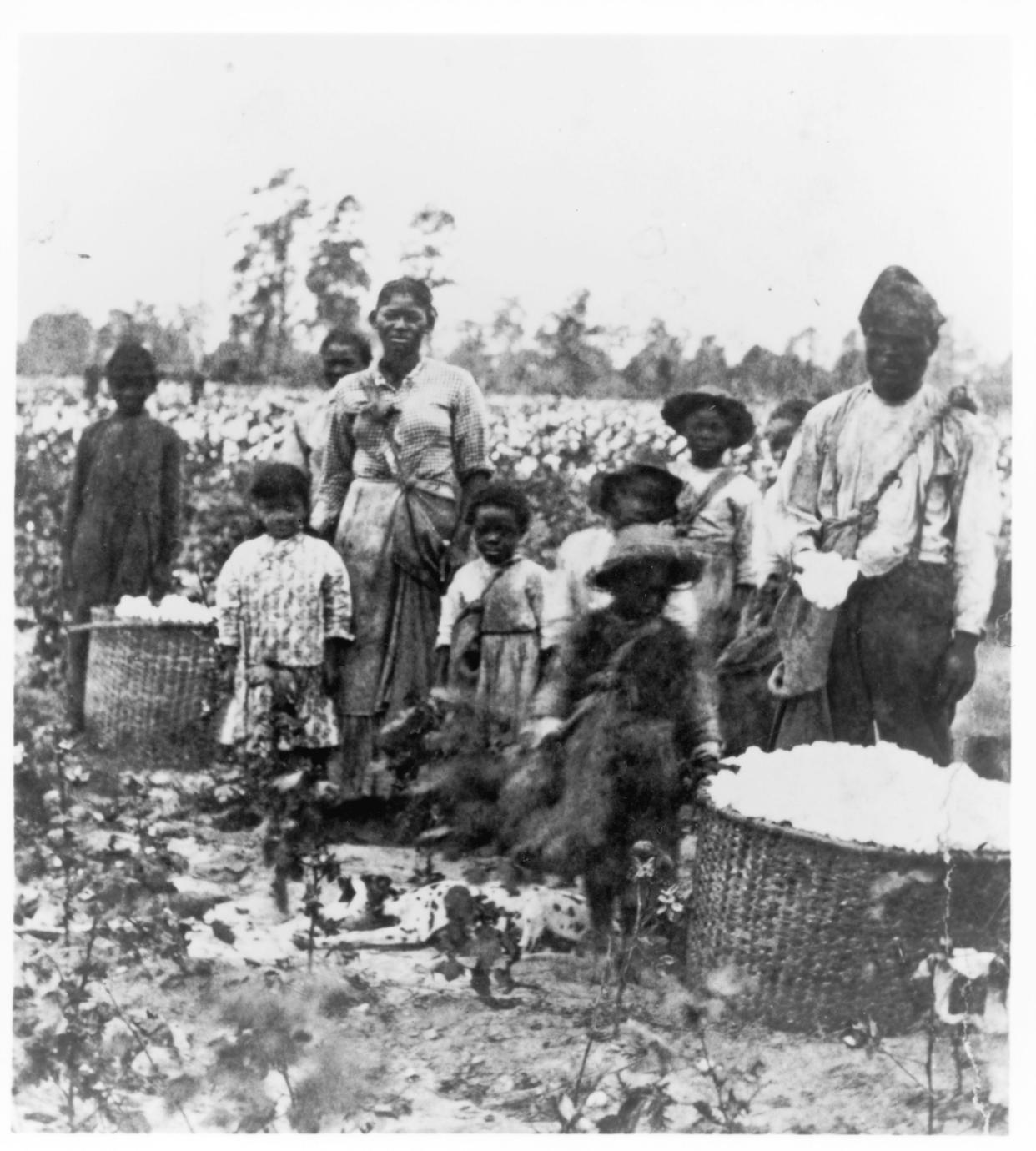 Slave family picking cotton in the fields near Savannah, Ga., from the documentary "Africans in America: America's Journey Through Slavery."