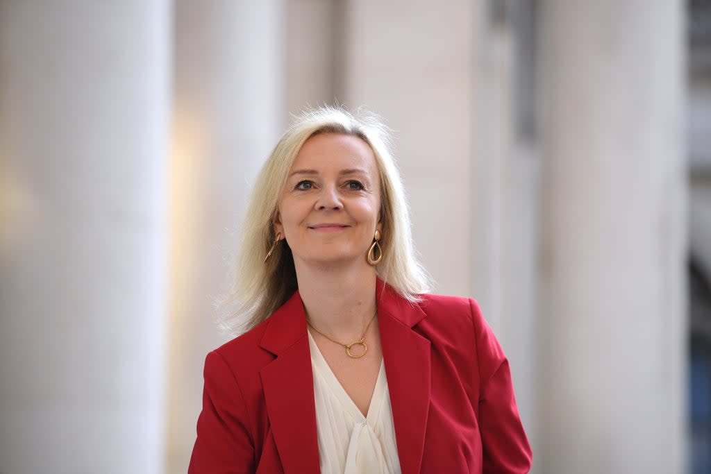 International Trade Secretary Liz Truss is taked with securing new trde deals for the UK (PA Archive) (PA Archive)