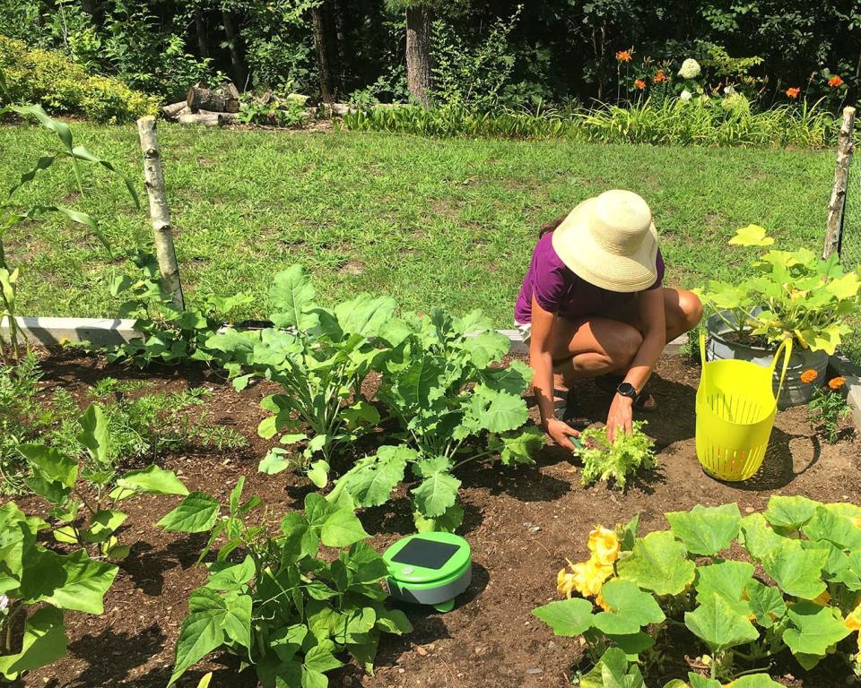 Tertill Garden Weeding Robot has a price discount