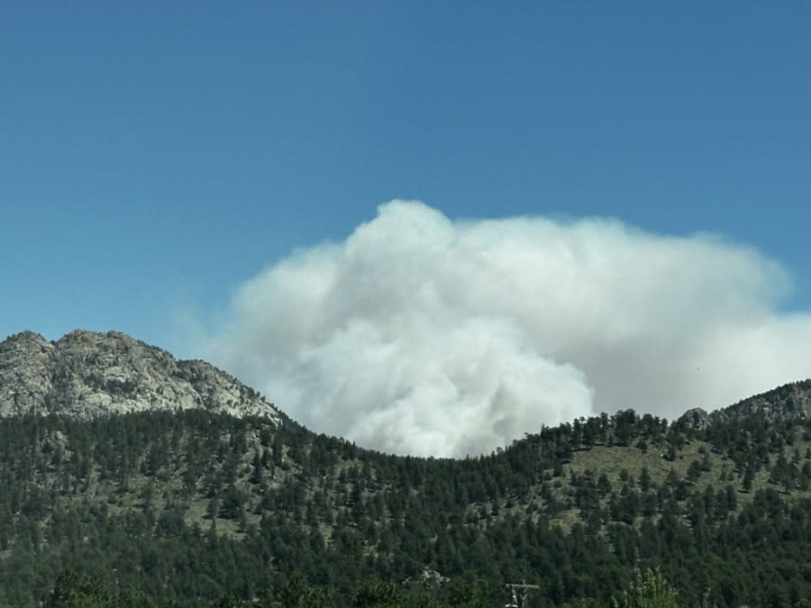 The Alexander Mountain Fire burning in Larimer County on July 29, 2024.