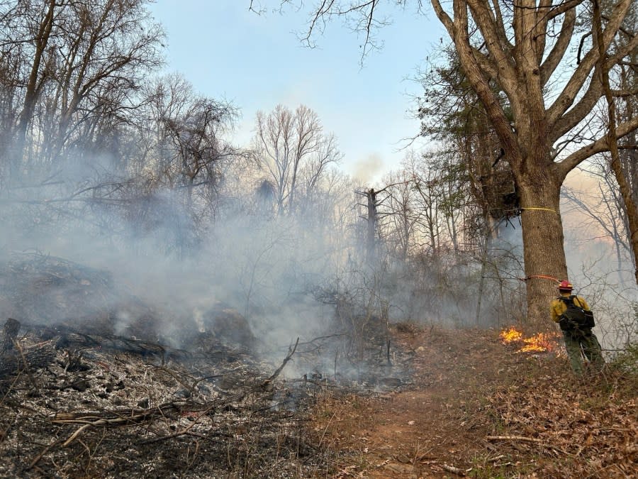 (Image courtesy of Shenandoah National Park)