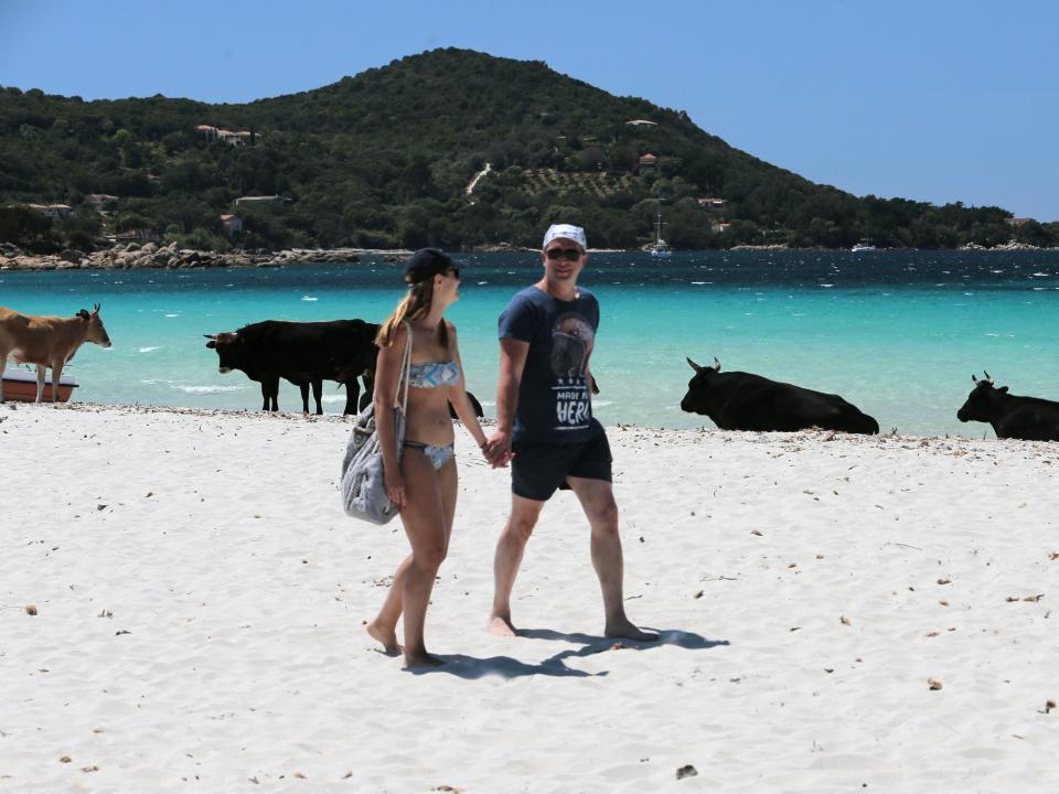 coronavirus cows france beach corsica