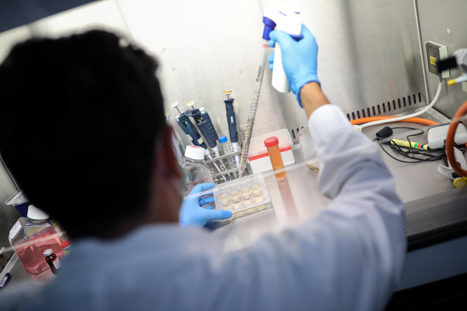 A scientist works on cells that produce antibodies against the coronavirus disease (COVID-19), in a university lab in Athens, Greece, July 8, 2020. Picture taken July 8, 2020. REUTERS/Alkis Konstantinidis