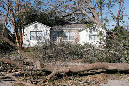 Trees toppled by Hurricane Michael surround a house in Panama City, Florida, U.S., October 13, 2018. REUTERS/Terray Sylvester