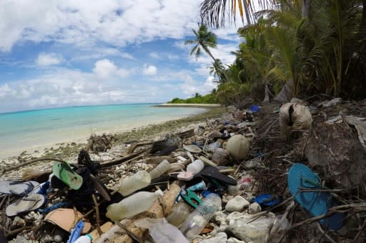 Tokyo wants to position itself as a leader on climate efforts and reducing marine plastic waste