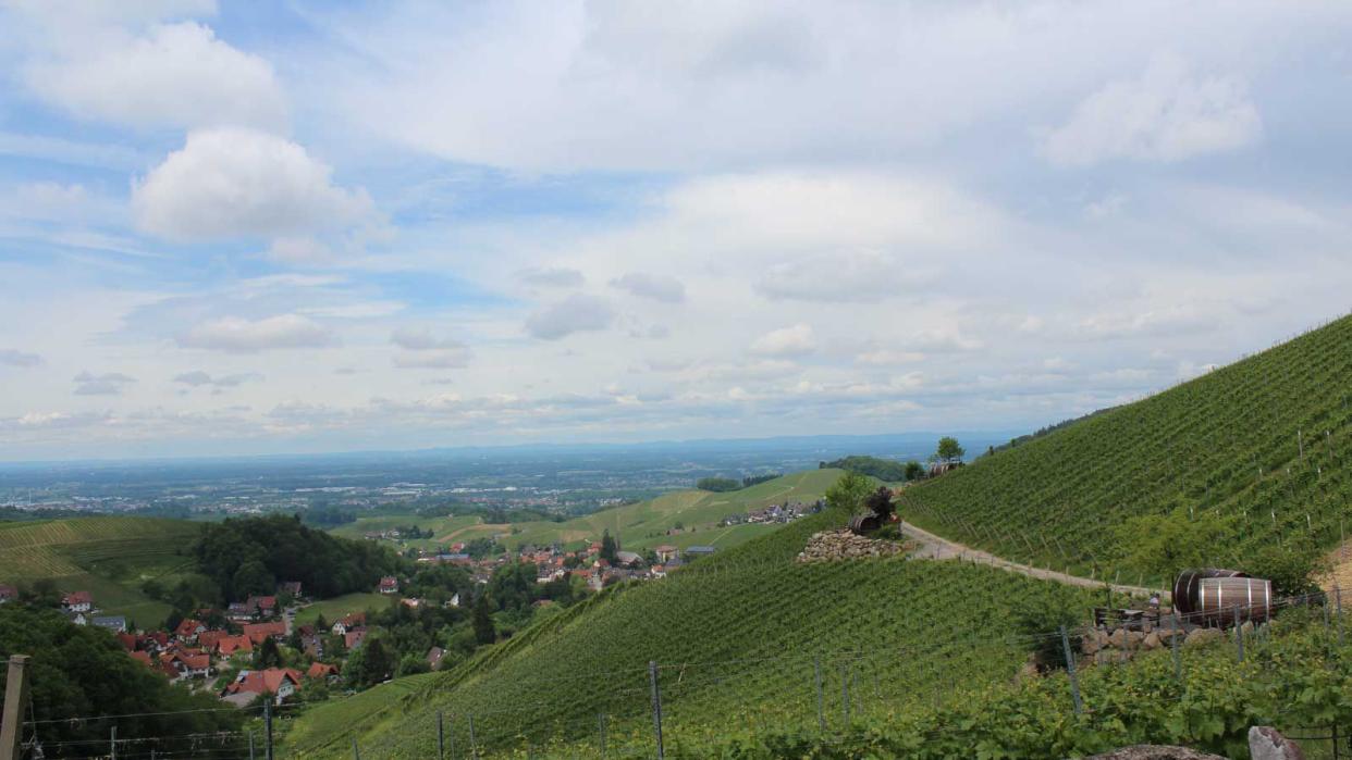 Wine Barrel Sleeping in Germany at Schlafen im Weinfass