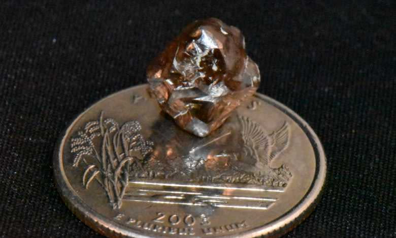 42歲的法國男子在美國阿肯色州的鑽石坑州立公園找到1顆棕色7.46克拉棕色鑽石。（圖／翻攝自阿肯色州州立公園官網）