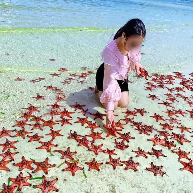 許多遊客都會把海星鋪在沙灘上拍照。（圖／翻攝自Kiên Giang Hôm Nay粉絲專頁）