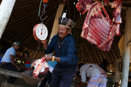 Indigenous Macuxi leader Orlando Pereirana da Silva, 73, weighs cattle meat at the community of Uailan on the Raposa Serra do Sol reservation, Roraima state, Brazil February 10, 2019. REUTERS/Bruno Kelly