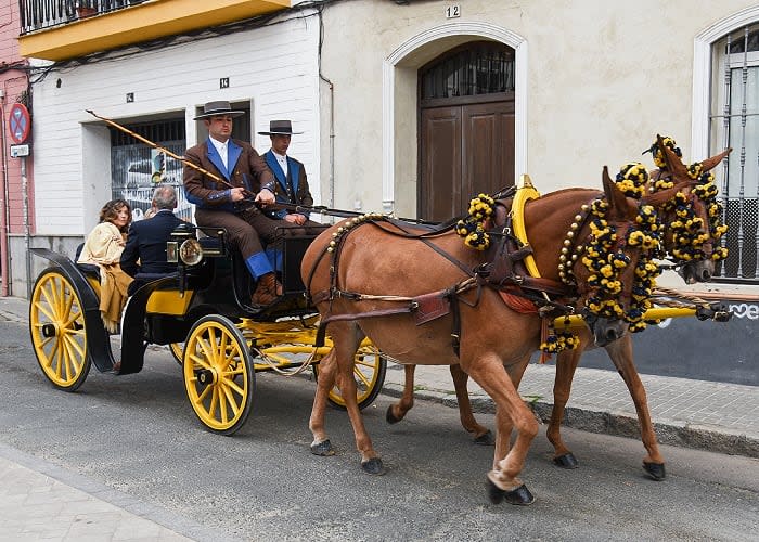 Coche de caballos 