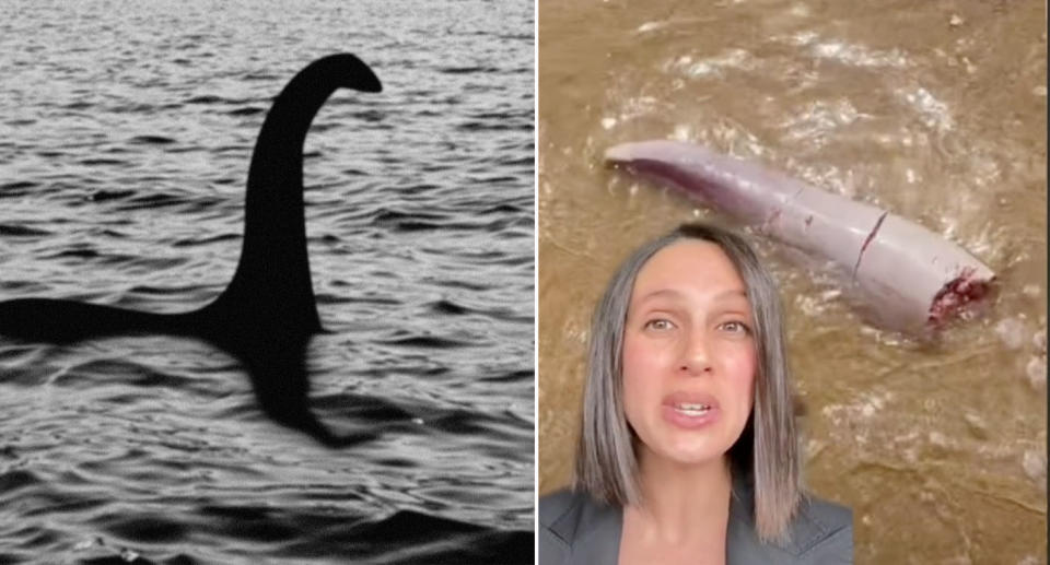 Many compared the object to the Loch Ness monster with one theory being that it was actually a whale. Source: Getty/TikTok