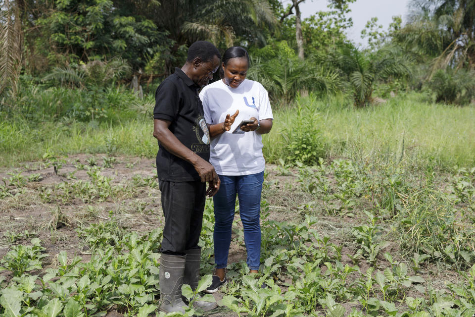 Rita Quansah, right, from Uniti Networks, shows farmer Cyril Fianyo, 64, years, how to navigate the farmers' apps on his phone in Atabu, Hohoe, in Ghana's Volta Region, Wednesday, April 18, 2024. Fianyo, who previously planted according to his intuition and rarely interacts with farming advisors, was optimistic that the technology would increase his yields. “I will know the exact time to plant because of the weather forecast,” he said. (AP Photo/ Misper Apawu)