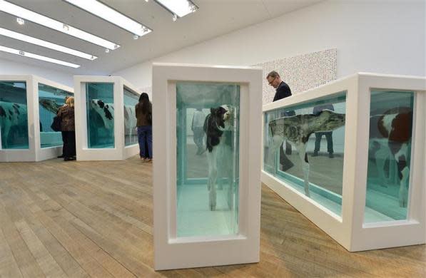 Visitors view "Mother and Child Divided," a bisected cow (in cases on L) and calf by British artist Damien Hirst at the Tate Modern gallery in London April 2, 2012.