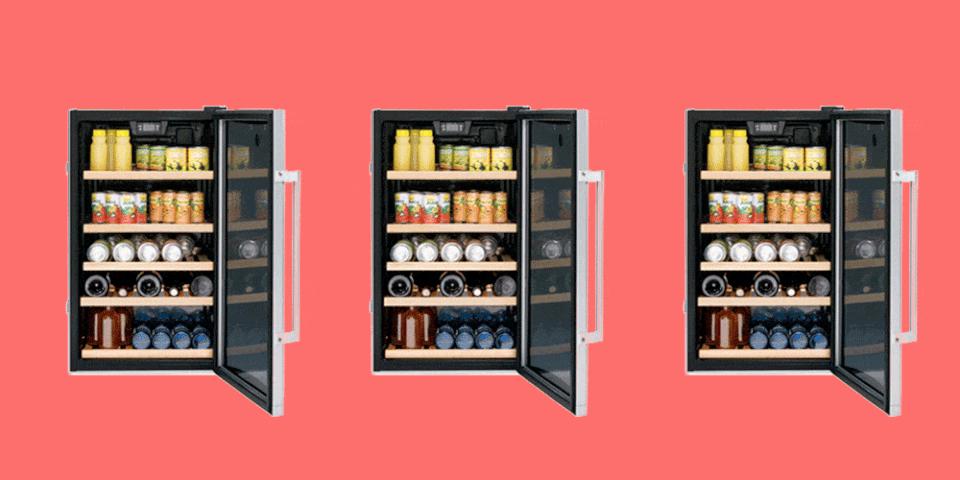 The Top 10 Mini Fridges You'll Use Beyond College