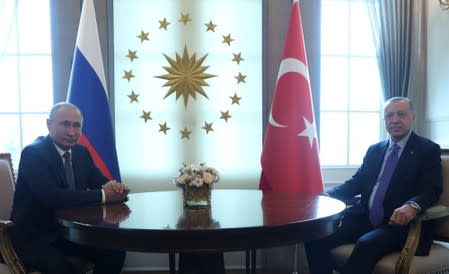 Turkish President Erdogan meets with his Russian counterpart Putin in Ankara