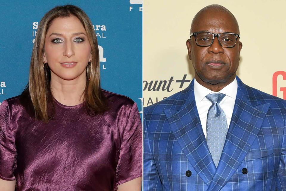 <p>Tibrina Hobson/Getty, Kristina Bumphrey/Variety via Getty</p> Chelsea Peretti and Andre Braugher.