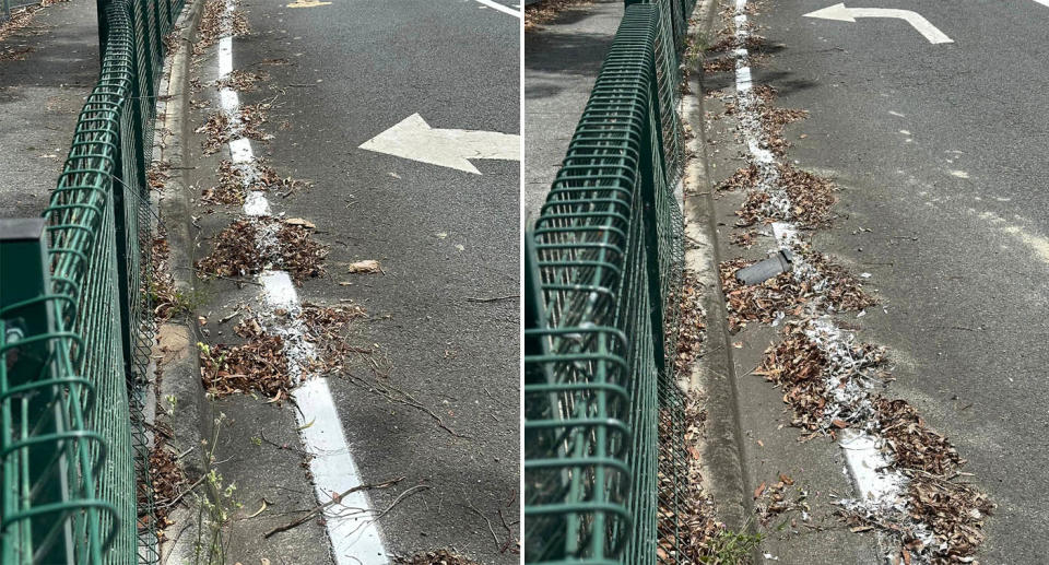 The gutter on the side of Hardys Road in Mudgeeraba shows clumps of leaves that have been painted over by a council contractor.