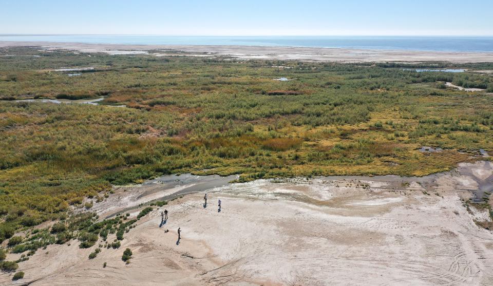 An emerging wetland area near the former shoreline of the Salton Sea near Bombay Beach, Calif., Nov. 6, 2023.