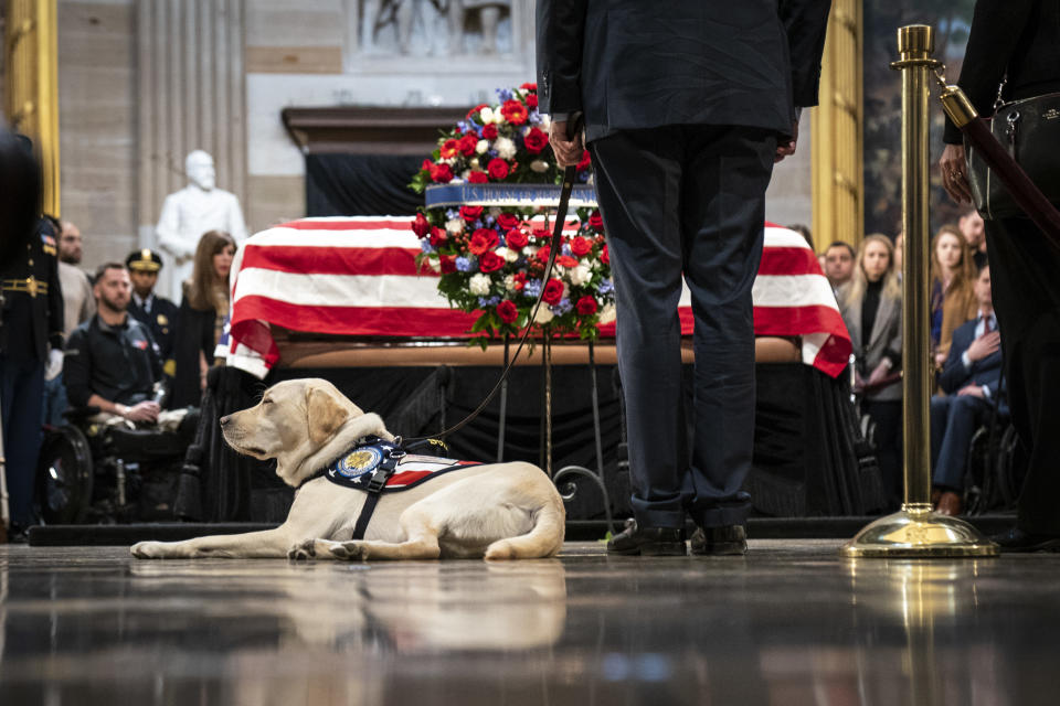 Sully, a yellow Labrador service dog for former President George H. W. Bush, sits near the casket of the late former President George H.W. Bush as he lies in state at the U.S. Capitol, December 4, 2018 in Washington, DC. (Photo: Drew Angerer/Getty Images)