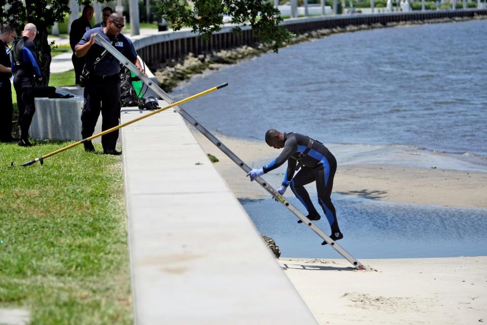 A 2018 seawall assessment determined that sections of the seawall were in critical condition and highly vulnerable to storm surge, sea level rise and king tides. There are also dangers of people falling in and drowning.