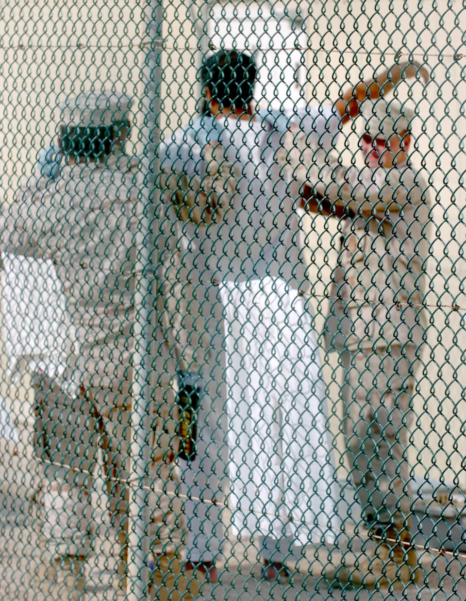 Guards search a detainee at the Camp Delta detention facility at Guantanamo Bay, Cuba, Tuesday, June 13, 2006. Three detainees at the camp were found dead after they committed suicide by hanging themselves. (Todd Sumlin/Charlotte Observer/KRT)