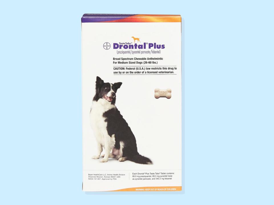 The packing for Drontal Plus for Dogs featuring a border collie set against a blue background is one of the best dewormers for dogs in 2023.