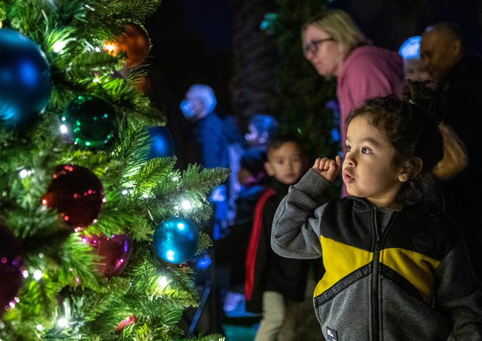 Damien Nadurille, 3, of Indio takes a closer look at the decorations and lights on the City of Indio's Christmas tree during the lighting ceremony at city hall in Indio, Calif., Thursday, Dec. 1, 2022. 