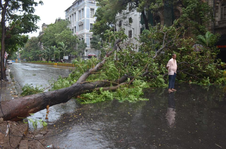 Trees uprooted due to gusty wind as Cyclone Nisarga make landfall in Mumbai. (Photo: Arun Patil)