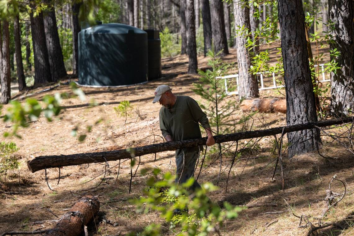 Homeowner Hans Shillinger carries a trunk as he clears trees on his property near Nevada City last month. In the background are storage tanks of water to help fight future fires around his house.