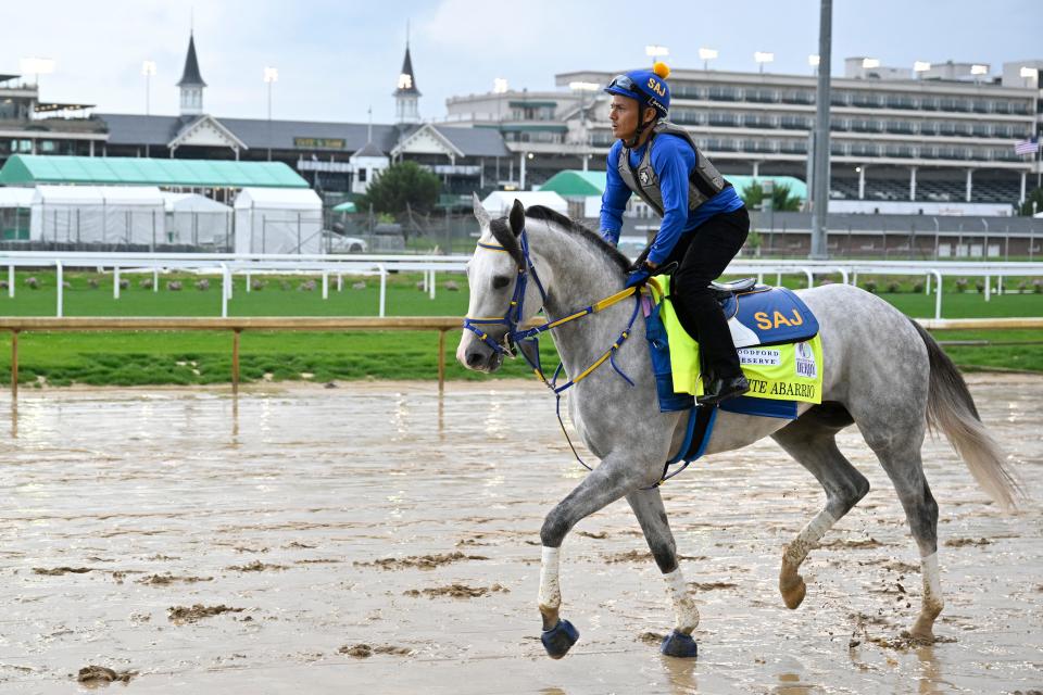 An exercise rider works out Kentucky Derby entry White Abarrio at Churchill Downs.