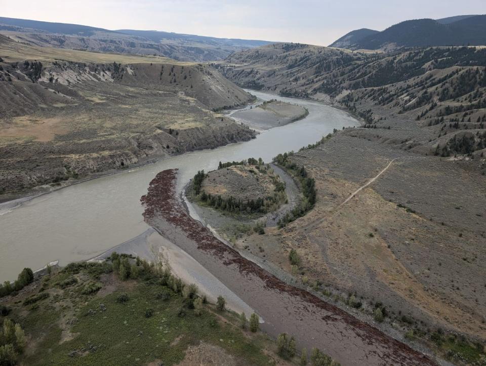 An aerial view of the confluence of the Chilcotin and Fraser rivers in B.C.'s Cariboo region. Debris can be seen entering the Fraser River from the Chilcotin River around 2 p.m. PT on Aug. 5, 2024, after water breached a dam created by a landslide almost a week earlier. 