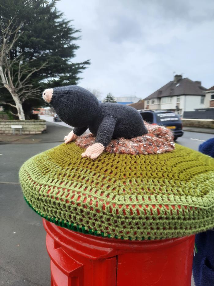 Rachel Williamson, a retired police officer, has been making postbox toppers in Rhyl, Wales, during the coronavirus pandemic