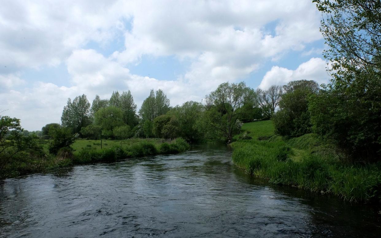 The River Itchen in Hampshire - Christopher Pledger