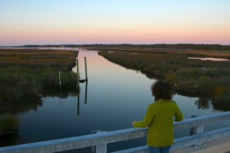 A woman looks out of fence toward Steward's Canal.