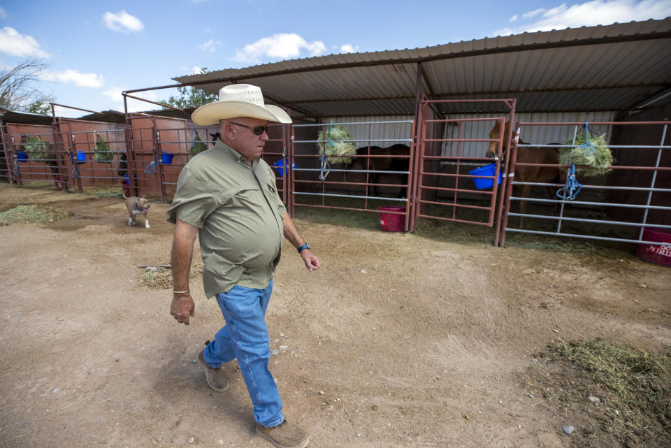 Trainer John Stinebaugh inspects his horses after evacuating them from Ruidoso Downs to Artesia, N.M., Wednesday, June 19, 2024. Strong wind pushed the larger of two wildfires into the mountain village of Ruidoso, forcing residents to flee. One person was killed and hundreds of structures were damaged. (AP Photo/Andres Leighton)