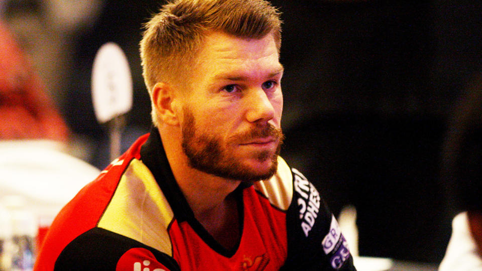 David Warner, pictured here during a Sunrisers Hyderabad game in the IPL. 