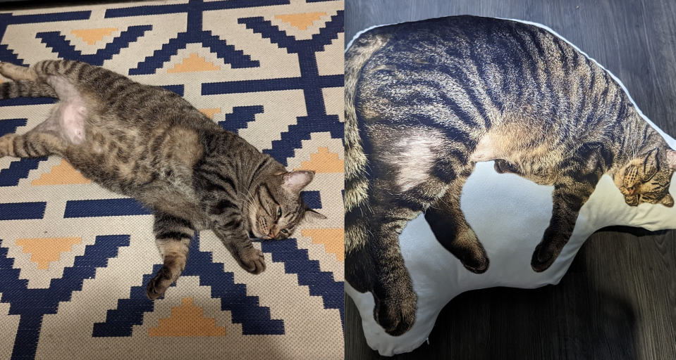 A composite picture of a cat and a pillow of it.