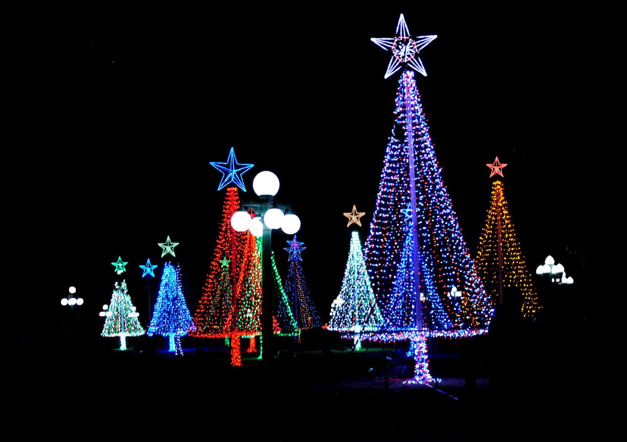 Holiday Christmas Tree Lights in the park