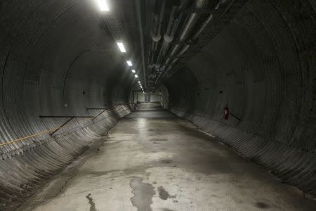 The entrance tunnel to the international gene bank Svalbard Global Seed Vault (SGSV) near Longyearbyen on Spitsbergen, Norway, October 20, 2015. REUTERS/Anna Filipova