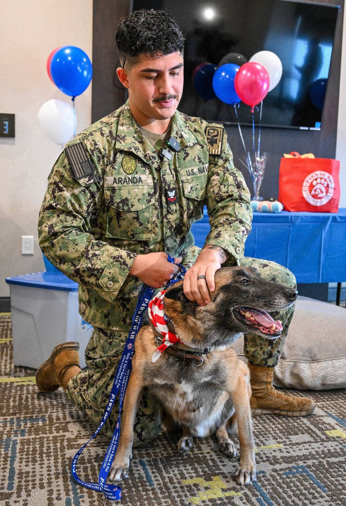 Carlos Aranda, a military dog handler from NAS Lemoore, pets his former service dog “Donnie” for the first time in a year during a reunion organized by Paws of War at the Hampton Inn in Selma on Monday, Aug. 26, 2024.