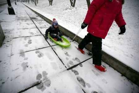 A woman pulls a child on a sled after a winter storm arrived in Washington January 22, 2016. REUTERS/Carlos Barria