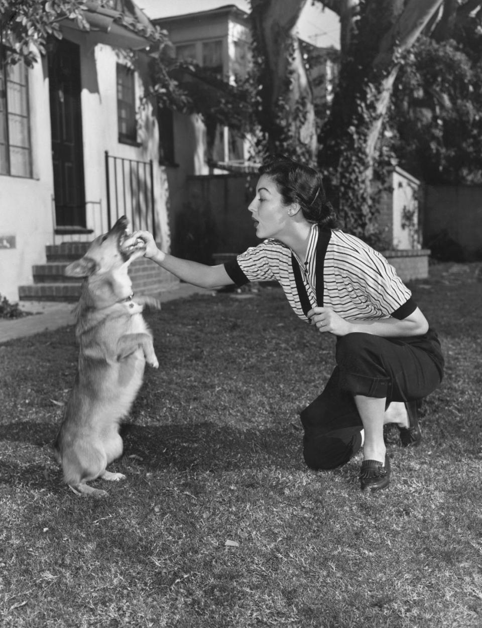 <p>Ava Gardner's beloved Corgi, Rags, was a gift to the film star by her third husband, Frank Sinatra. Rags served as Ava's introduction to the breed and <a href="http://thedailycorgi.com/2015/04/famous-corgi-fans-ava-gardner.html" rel="nofollow noopener" target="_blank" data-ylk="slk:she continued to own Corgis;elm:context_link;itc:0;sec:content-canvas" class="link ">she continued to own Corgis</a> for the rest of her life. </p>