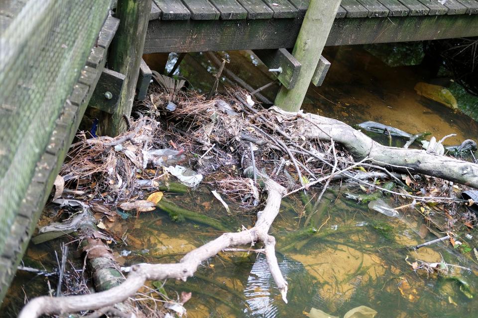 Debris such as branches and plastics form a small dam in the Glenwood Park creek. The town of Cinco Bayou plans to spend more than $500,000 state and federal money to improve stormwater runoff at the park.