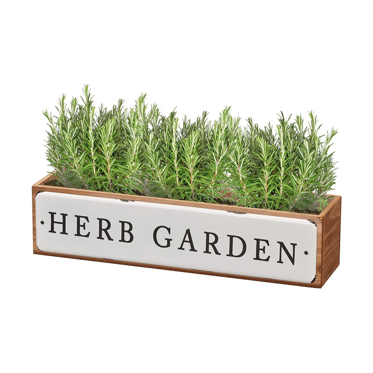 Barnyard Herb Garden