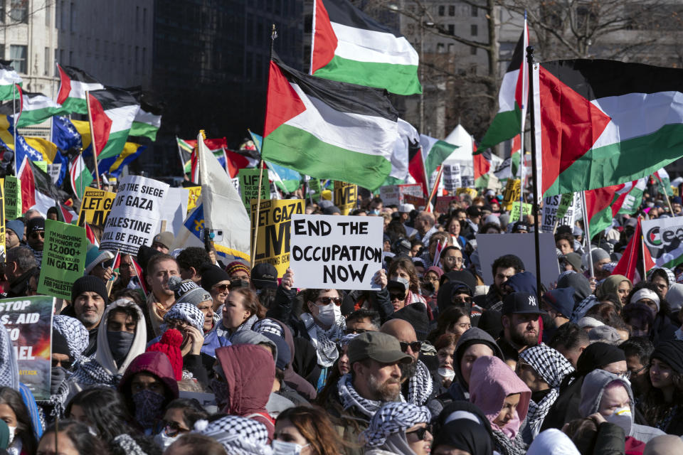 Demonstrators rally during the March on Washington for Gaza at Freedom Plaza in Washington, Saturday, Jan. 13, 2024. (AP Photo/Jose Luis Magana)