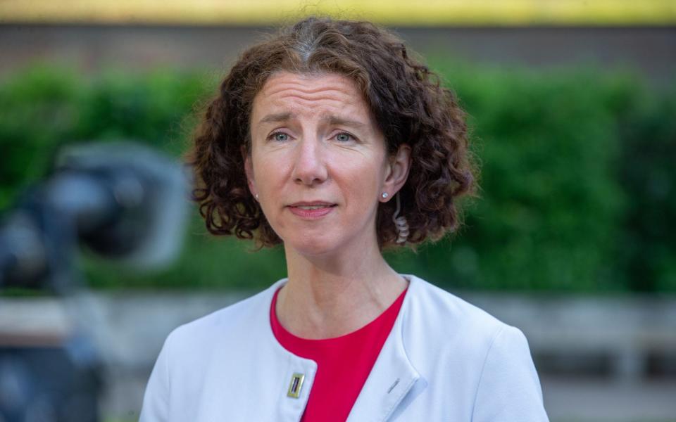 Anneliese Dodds, the chairwoman of the Labour Party, is pictured this morning in Westminster