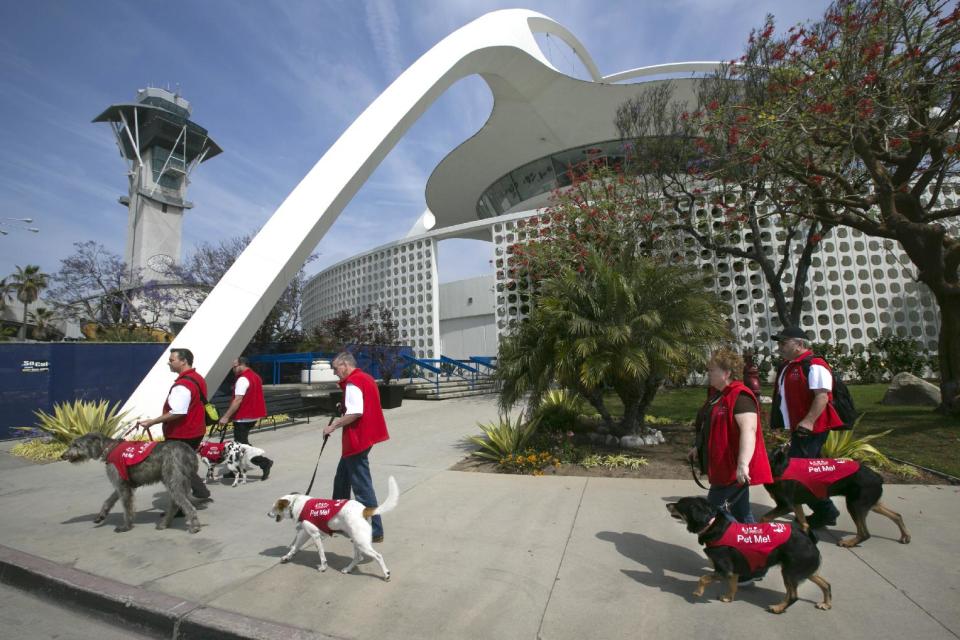 In this photo taken Tuesday, May 21, 2013, Volunteers with Pets Unstressing Passengers (PUPs) walk past the spider legged Theme Building, at the Los Angeles International Airport, the airport has 30 therapy dogs and is hoping to expand its program. The dogs are intended to take the stress out of travel: the crowds, long lines and terrorism concerns. (AP Photo/Damian Dovarganes)