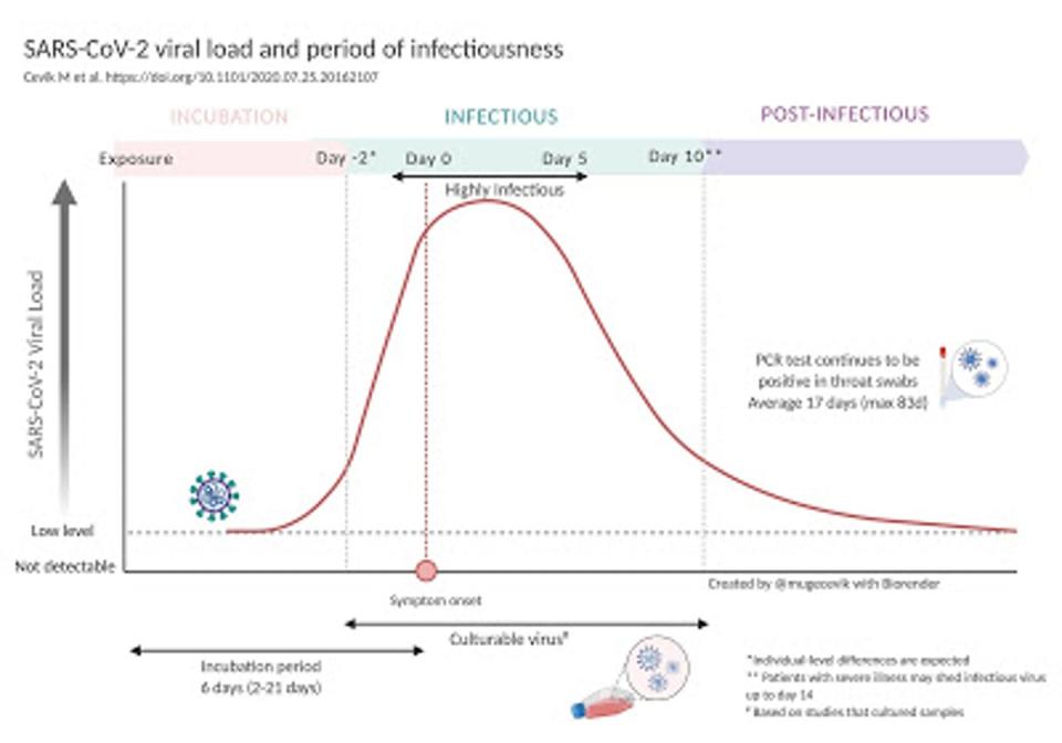 <span class="caption">Evolución de los niveles de infectividad.</span> <span class="attribution"><a class="link " href="https://www.medrxiv.org/content/10.1101/2020.07.25.20162107v2" rel="nofollow noopener" target="_blank" data-ylk="slk:Cevik, M., y col.;elm:context_link;itc:0;sec:content-canvas">Cevik, M., y col.</a></span>