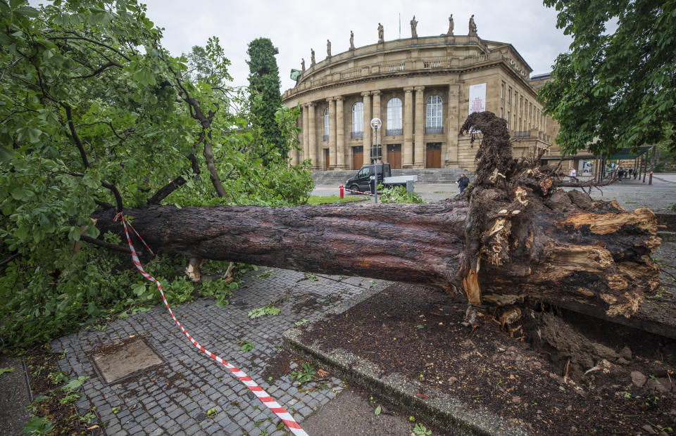 A fallen tree lies in front of the opera house in Stuttgart, Germany, Tuesday, June 29, 2021. Thunderstorms hit Germany late Monday and torrential rains poured down on the southern and western parts of the country leading to dozens of accidents and hundreds of firefighter operations throughout the night.(Christoph Schmidt/dpa via AP)