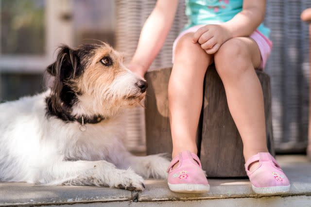 <p>Getty</p> A stock image of a child and a dog